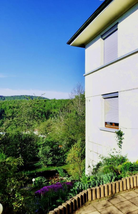 Ferienwohnung Albstadt Panorama المظهر الخارجي الصورة