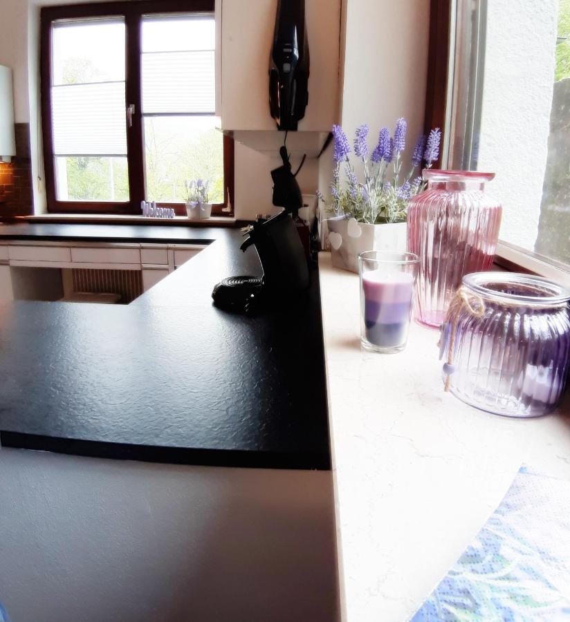 Ferienwohnung Albstadt Panorama المظهر الخارجي الصورة