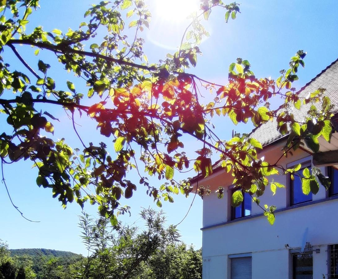 Ferienwohnung Albstadt Panorama المظهر الخارجي الصورة